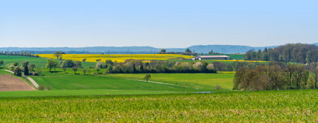 Rural panoramic scenery in Hohenlohe, an area in southern Germany at spring timeの写真素材