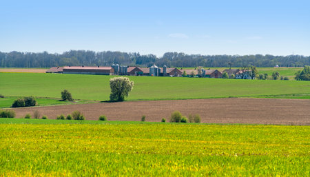 Rural panoramic scenery including a farm in Hohenlohe, an area in southern Germany at spring timeの写真素材
