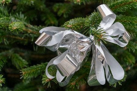 Silver ribbon on green fir twig ambianceの写真素材