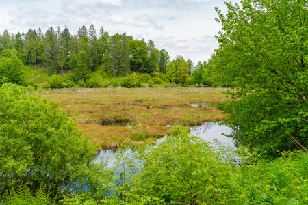 Idyllic scenery around the Nonnenmattweiher in the Southern Black Forest, Germany
