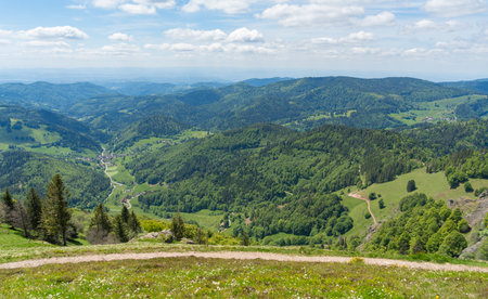 Scenery around Black Forest Belchen in Southern Germany at summer timeの写真素材