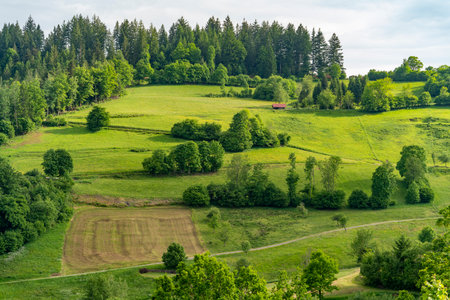 Idyllic impression around SchÃ¶nenberg in the Black Forest, a municipality in the district of...