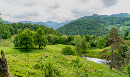 Idyllic small lake near SchÃ¶nenberg in the Black Forest in Southern Germany