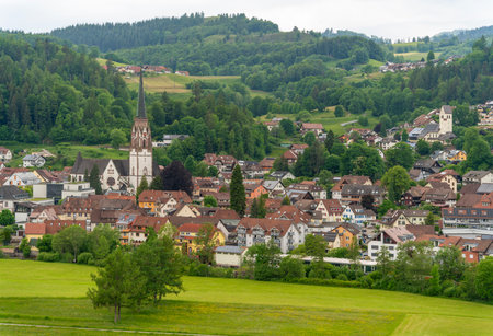 Idyllic impression around SchÃ¶nau in the Black Forest, a town in the district of LÃ¶rrach in Baden-WÃ¼rttemberg, Germanyの写真素材
