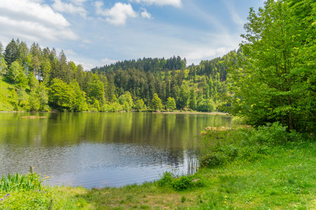 Idyllic scenery around the Nonnenmattweiher in the Southern Black Forest, Germanyの写真素材