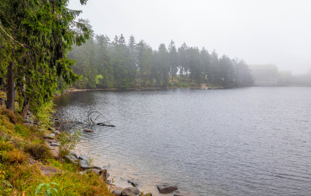 Foggy scenery around the Mummelsee, a small lake at the western mountainside of the Hornisgrinde in the Northern Black Forest of Germanyの写真素材