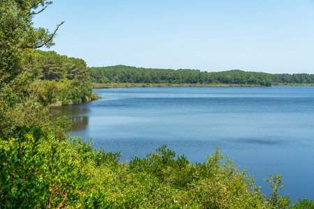 Impression of the Cousseau Pond National Nature Reserve in the Gironde department in southern Franceの写真素材