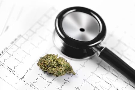 medical marijuana, cannabis bud and cardiolog analytics, stethoscopeの写真素材