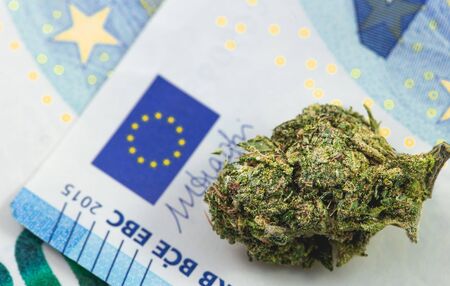 medical marijuana, cannabis buds with euro banknotesの写真素材