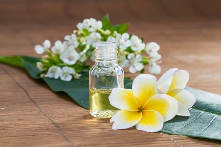 Essential Oil, flower, on green leaf, blur background, health spaの写真素材