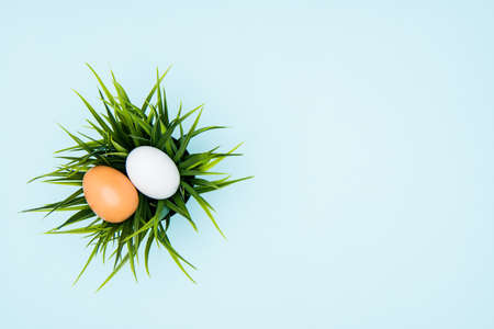 Pastel background with easter eggs on green grass, copy spaceの写真素材