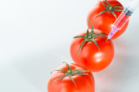 Genetically modified food science of inject tomatoの写真素材