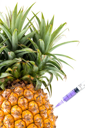 Genetically modified food science of inject pineappleの写真素材