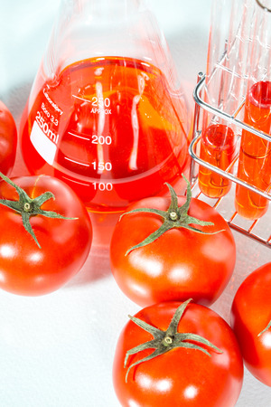 Genetically modified food science of red tomatoの写真素材