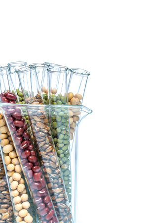 Genetically modified food science plantの写真素材