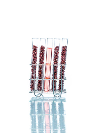Genetically modified food scienceの写真素材