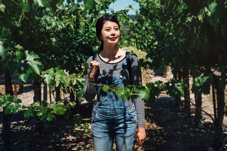 young asian tourist travel visit napa valley grape winery in san francisco usa. cute girl in...