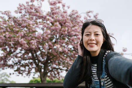 chinese lady facing camera is smiling and pressing her blowing hair. asian tourist taking selfie with beautiful sakura in full bloom.の写真素材
