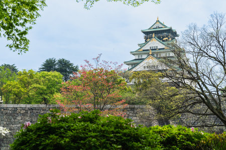 view from distance Osaka castle with beautiful nature against blue sky during spring season in japanのeditorial素材