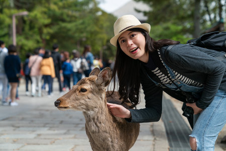 cheerful asian Korean female tourist looking at camera with smile while touching the fur of cute deer on paved way at Todaiji temple in nara japanの写真素材
