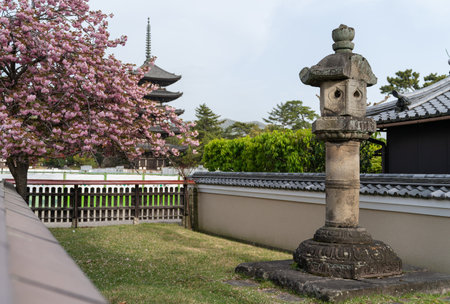 Nara, Japan Ã¢ÂÂ April 16, 2018: traditional Japanese garden with a toro stone lamp and pink blooming sakura flower tree near Kofuku-jiÃ¢ÂÂs gojunoto pagoda at springtimeのeditorial素材
