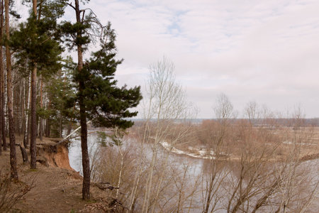 Early spring, river cliff, brown tones, river overflow