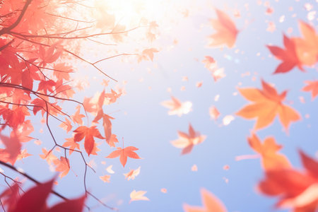 Autumn leaves drifting down against the blue skyの素材