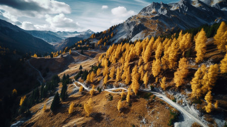 Drone view of the autumn forest and mountainsの素材