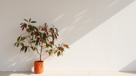 Minimalistic image of vase with leaves on wall background. Modern interior detailsの素材