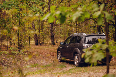 Road trips to the countryside. A car stands on the road in an autumn forest among treesの写真素材