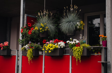 flowers and plants in pots on the balcony by the window. High quality photo