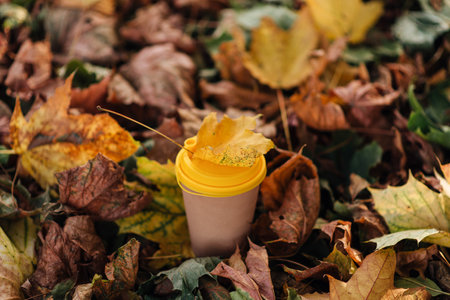 coffee in a cardboard cup on autumn leaves. High quality photoの写真素材
