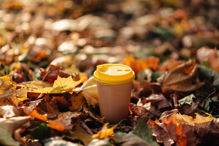 coffee in a cardboard cup on autumn leaves. High quality photoの写真素材