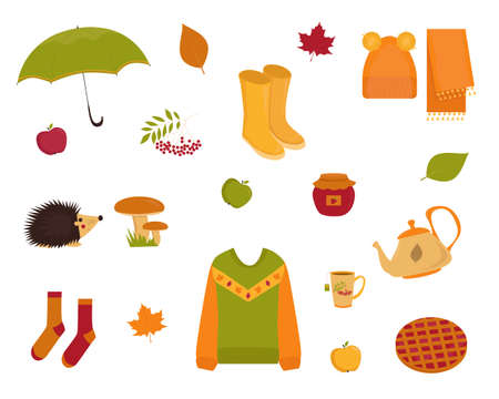 Set of cartoon autumn elements. Collection of autumn paraphernalia. Vector illustrationのイラスト素材