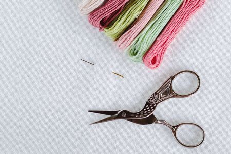 bright multi-colored floss thread for embroidery, needle and scissors on a white canvas, place for text 1の写真素材