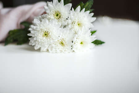 small white chrysanthemums, white delicate flowers on the table, space for text, minimalismの写真素材