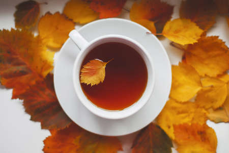 white round cup with tea among autumn orange leaves, leaf inside a cup, autumn conceptの写真素材