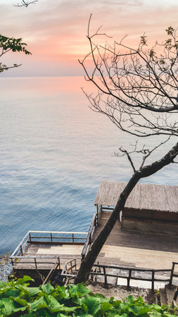Wooden terrace overlooking calm ocean at sunrise with pink sky and tree branches framing the peaceful coastal scene, vertical photoの写真素材