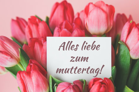 white gift card with the inscription happy mother's day in german - Alles Liebe zum Muttertag in a bouquet of beautiful tulips, the concept of congratulationsの写真素材