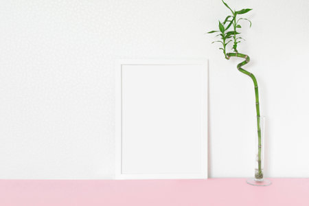 indoor plant green DRACAENA and a white frame for your text on a white background on a pink table.