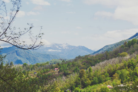 Lush green hills stretch into distance in mountainous region of Adjara, Georgia, where snow-capped peaks rise under bright blue sky. peaceful, vibrant landscape full of natural beauty and contrast.の写真素材