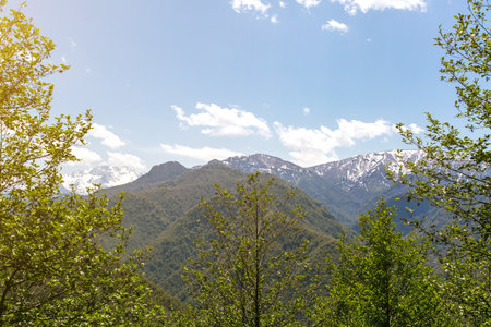Breathtaking view of snow-capped mountains and green forested hills under blue sky with scattered...