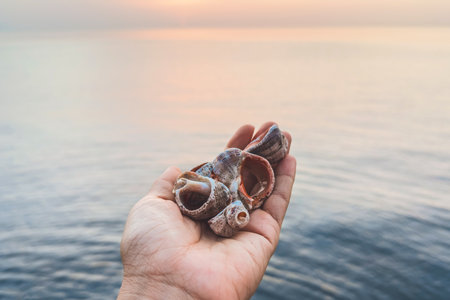 Sea shells in a hand with calm water and sunset on the background, concept of nature and relaxation,...