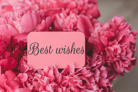 Pink card with the inscription Best wishes placed among lush pink peony flowers, close-up shot symbolizing love, tenderness, greetings and celebration, concept of holidays and congratulationsの写真素材