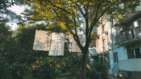 Residential courtyard with laundry drying on clotheslines between trees apartment buildings, bathed in warm sunlight, everyday life, simplicity, peaceful cozy urban atmosphere in Batumi Georgiaの写真素材