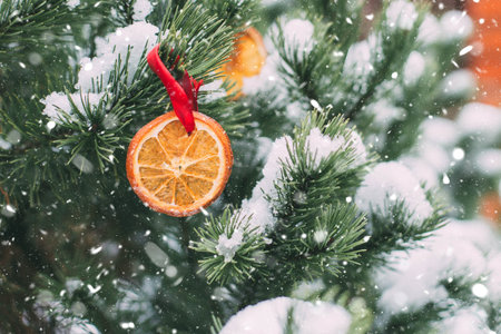 Winter card, dried orange on a Christmas tree in the snow, place for text, new year conceptの写真素材