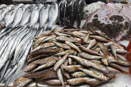 wide assortment of fresh fish displayed on ice at busy seafood market, featuring multiple species...