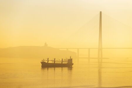 Dawn in the sea city of Vladivostok. A large commercial cargo ship stands on a roadstead against a...