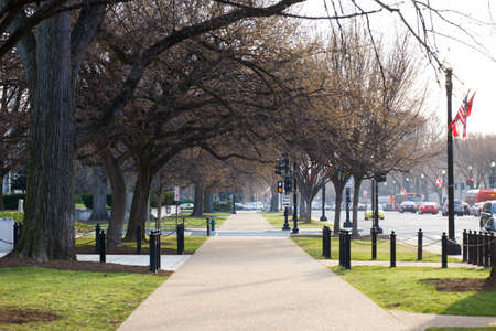 Spring, 2016 - Washington DC, USA - Empty manicured sidewalk: buried in verdure, downtown Washington...