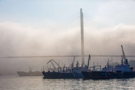 Various merchant ships stand on the roadstead in the Golden Horn Bay in Vladivostok